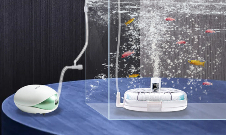 f0cb8a99-4524-4c8a-bacd-3849d14f9297.jpe