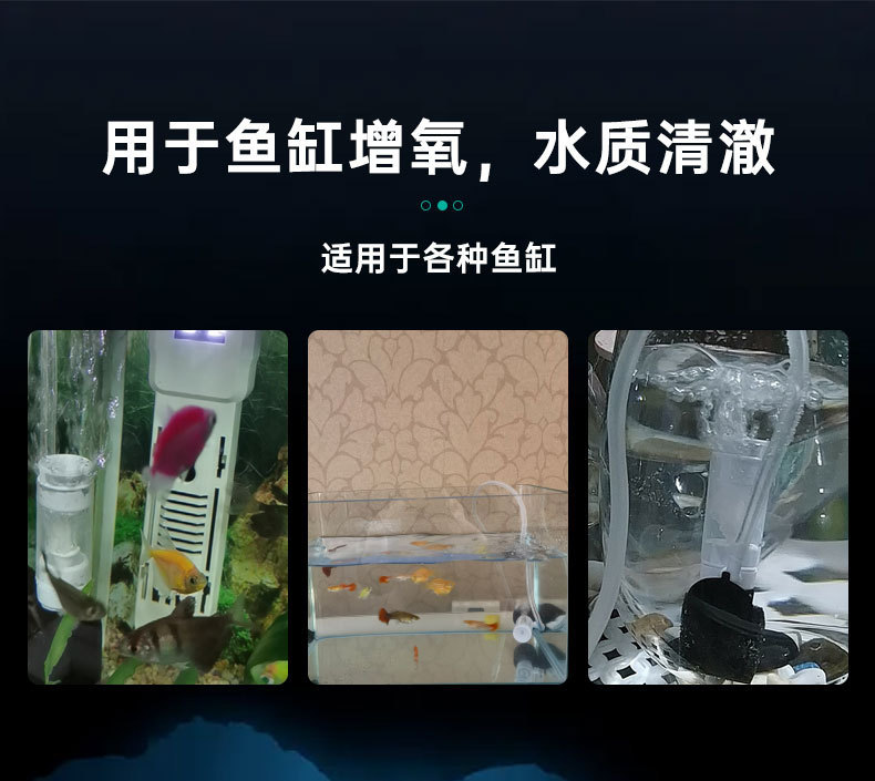 未标题-1_02.jpg