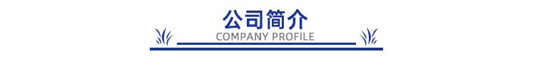 公司简介1