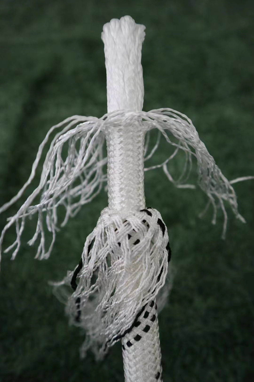 微信图片_20230829180838