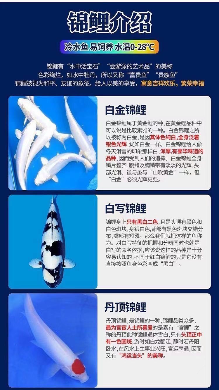 af96b145-49ee-43bb-9000-28a522ff614a.jpe