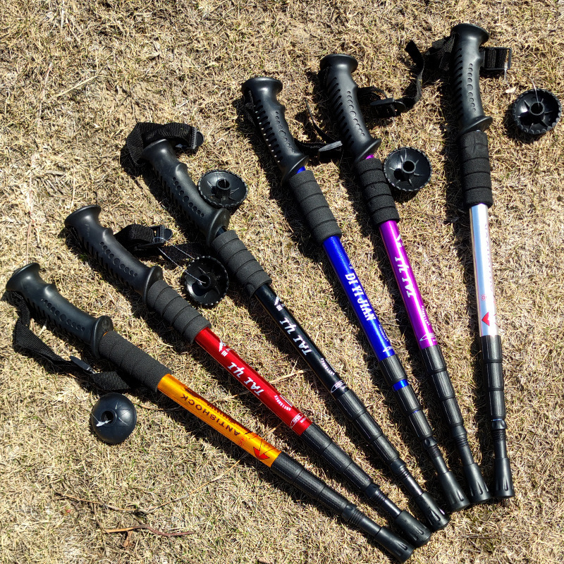 c2ac0b87-26c2-4a4f-9433-e5da48cdce59.jpe