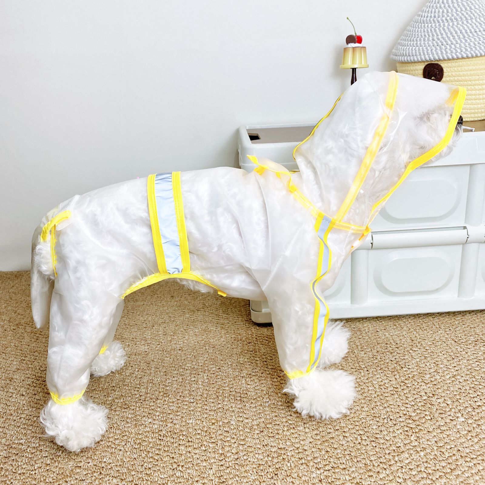 中大型犬