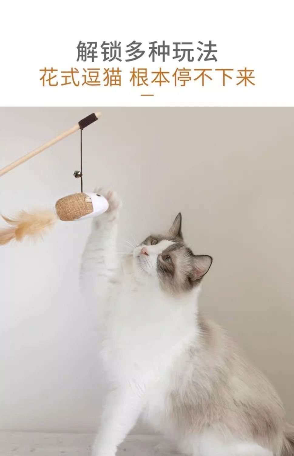 03420a95-2cc9-49c4-9a91-ae99f69a71b7.jpe