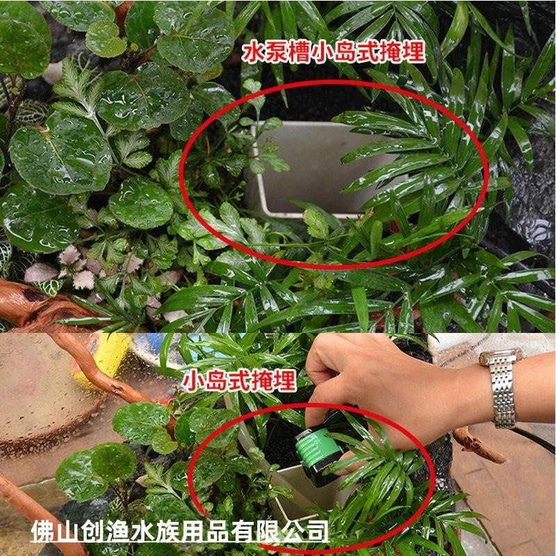 O1CN01ANnAWp1yegRwvWdlY_!!3503