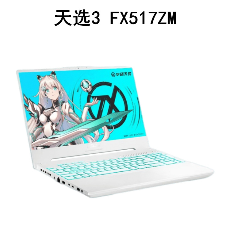 FX517ZM I7-12650H 16G 512 3060