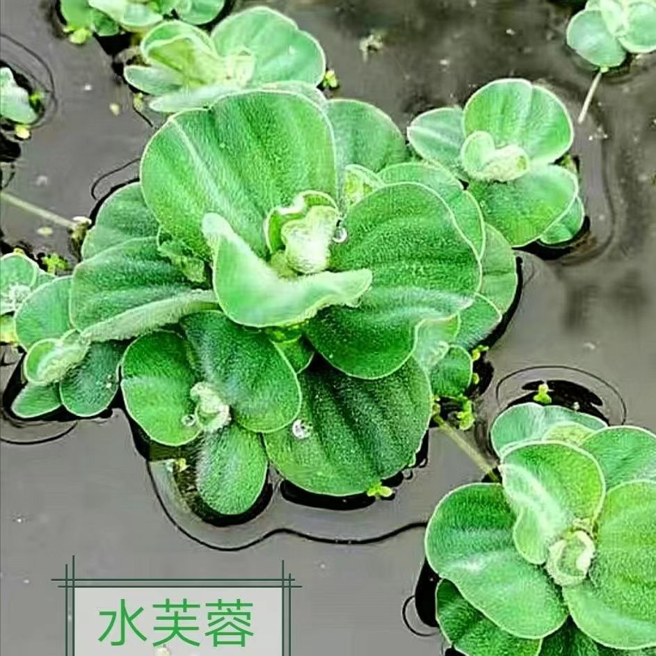 56af70fd-f10f-49df-b427-db46905a3d11.jpe