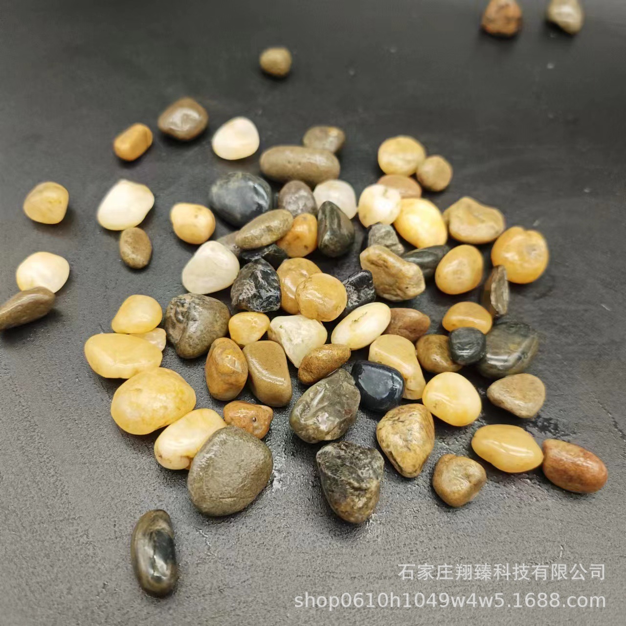 01193beeb226fcdc6a13a299c661c9