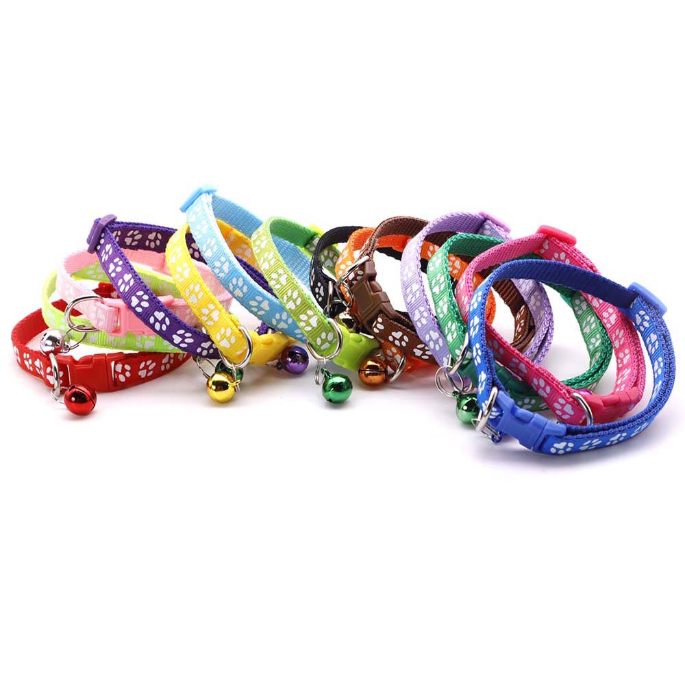 _MG_0504 - 副本.JPG