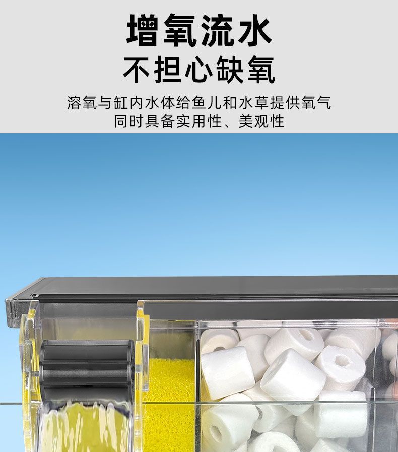 1bf019d7-ca7f-4040-83b6-e1902995c6fe.jpe