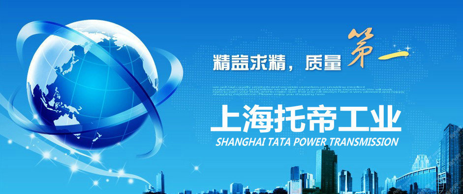 1 上海托帝工业精益求精