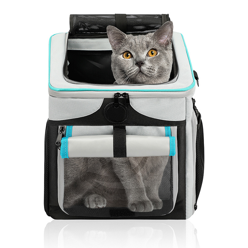 CW51671首图001 (2)