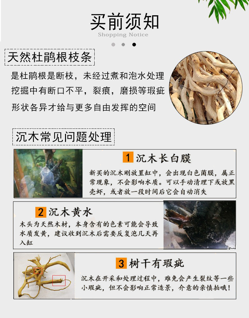 鱼缸造景杜鹃根枝条景观装饰室内装饰生态雨林景观工程杜鹃根长条undefined