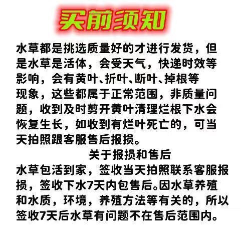 b3fa33ab-7a0e-43fa-b5d7-fcf5b90cab6d.jpe