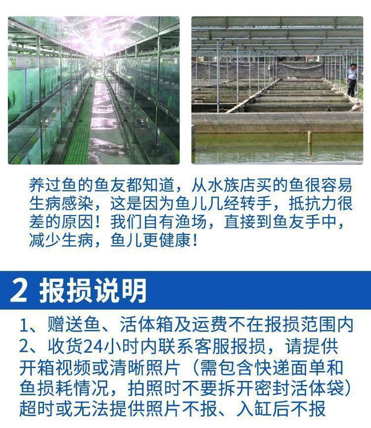 43f49dd6-41e2-411d-a517-1062a4e4c960.jpe