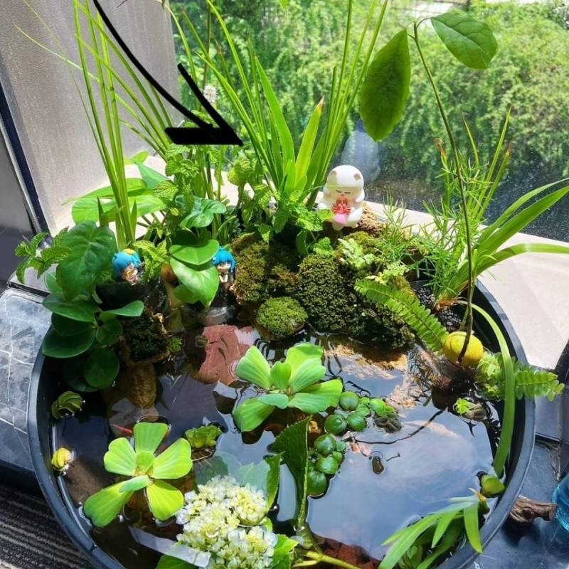 75aeb312-786d-42ca-9453-1d5223400ef6.jpe