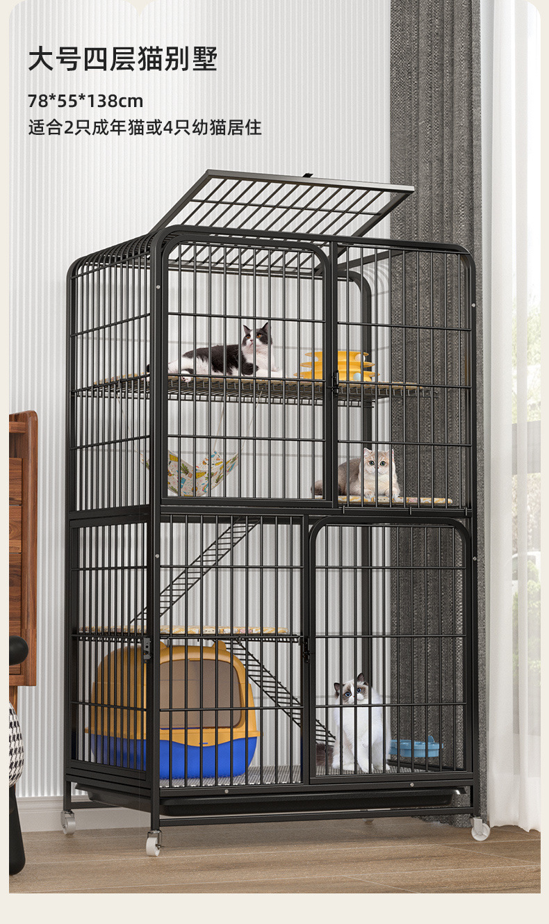 ac1a84c9-7ea6-4b88-8eb4-80da2134856a.jpe