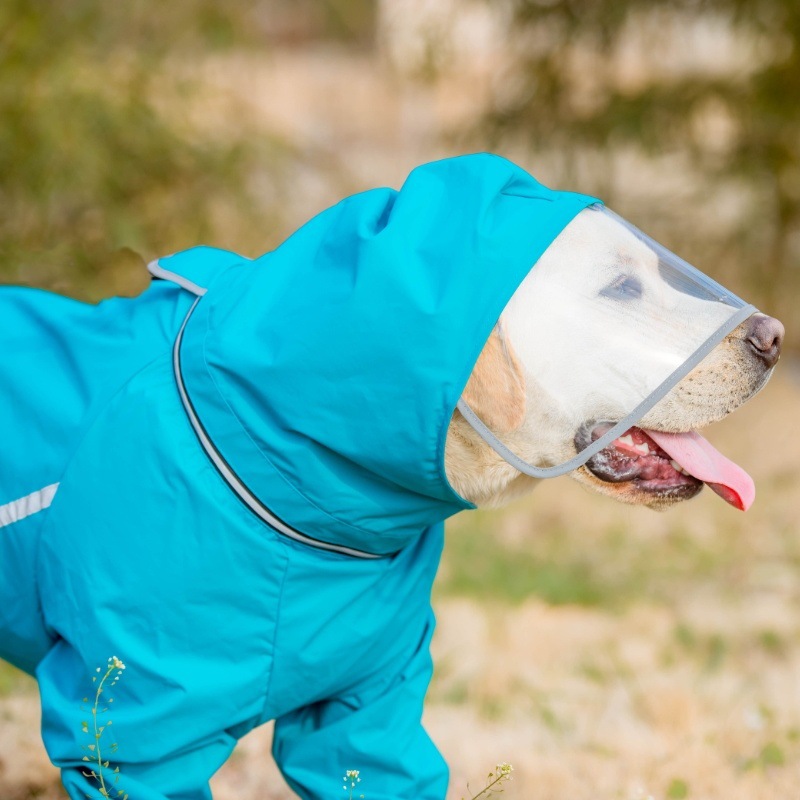 2b16e41c-0e79-4a37-9d2b-aba1be5db03b.jpe