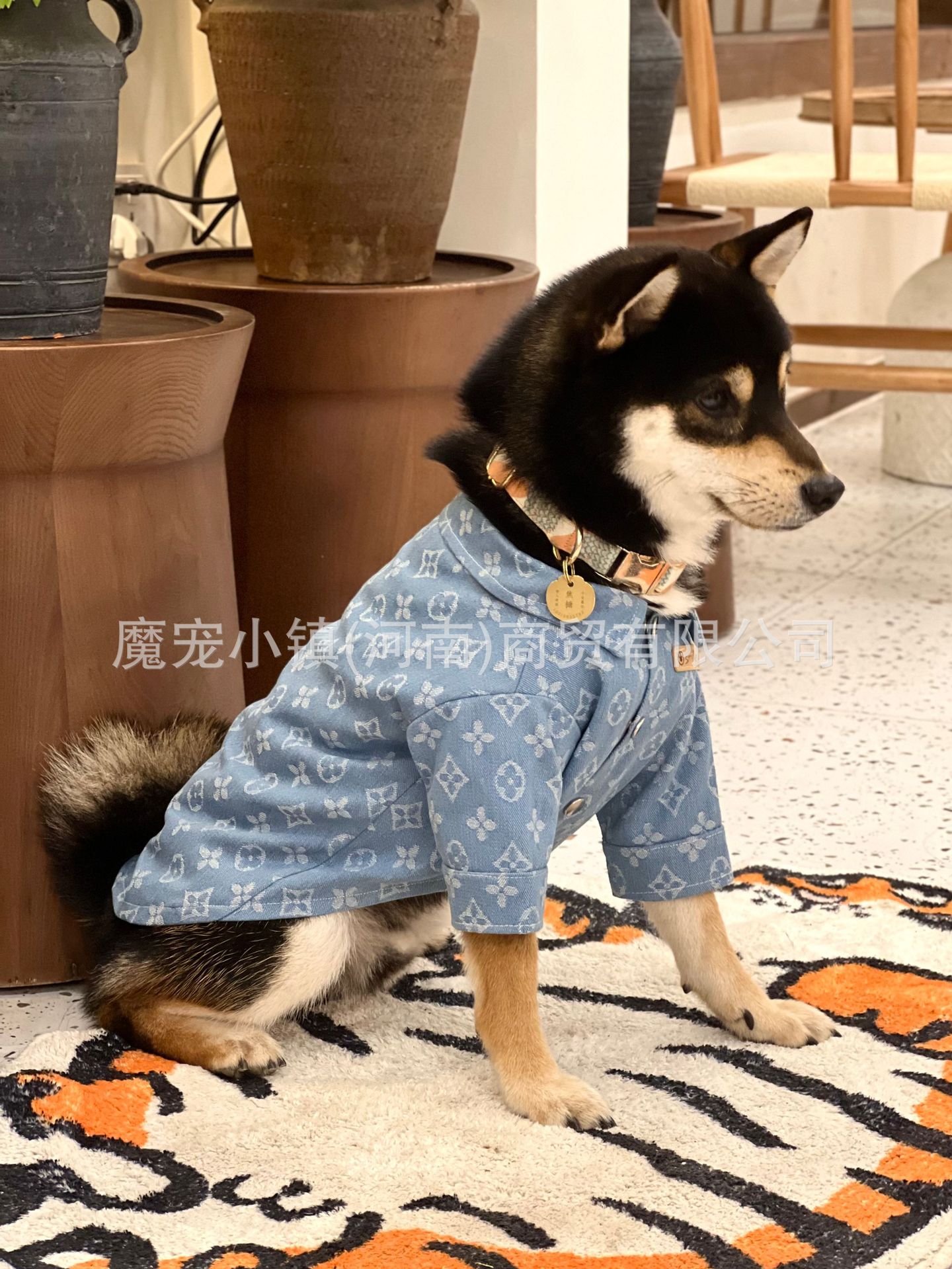 2023-03-08 210739.jpg