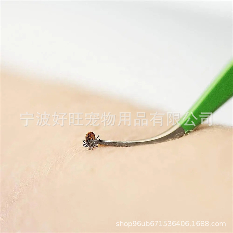 绿色2个装 (4)