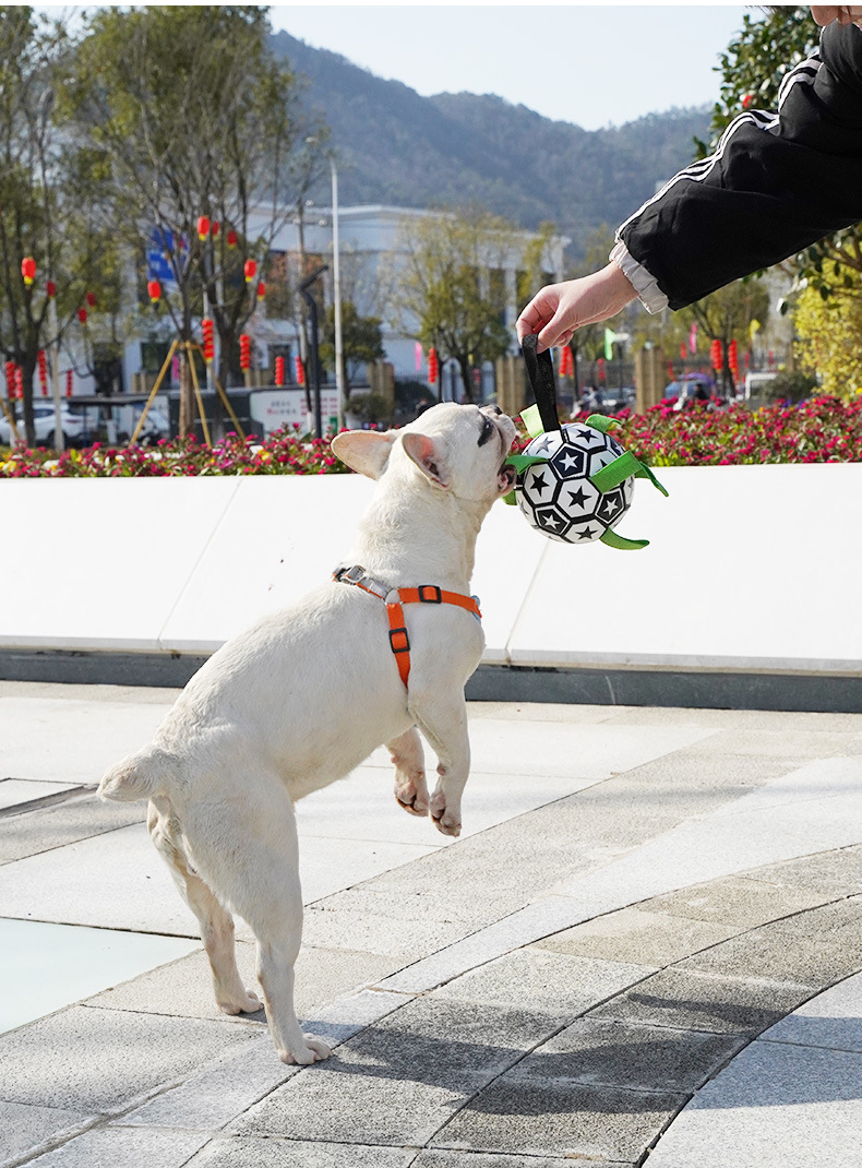 详情-1688-换图_10