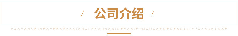 2.公司介绍