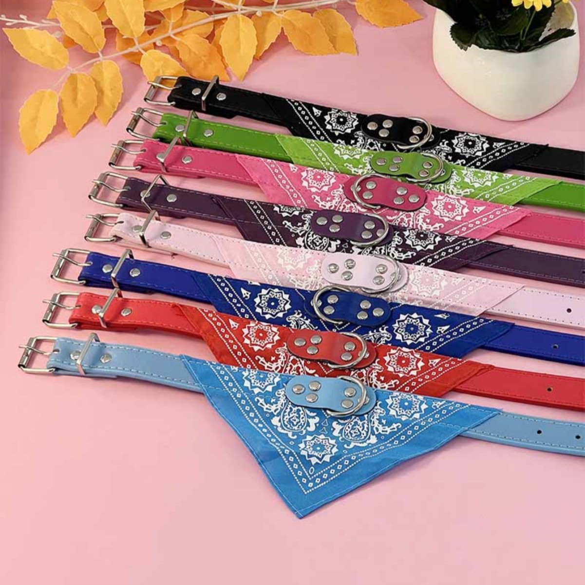 2024-06-12 20:37:52.jpg