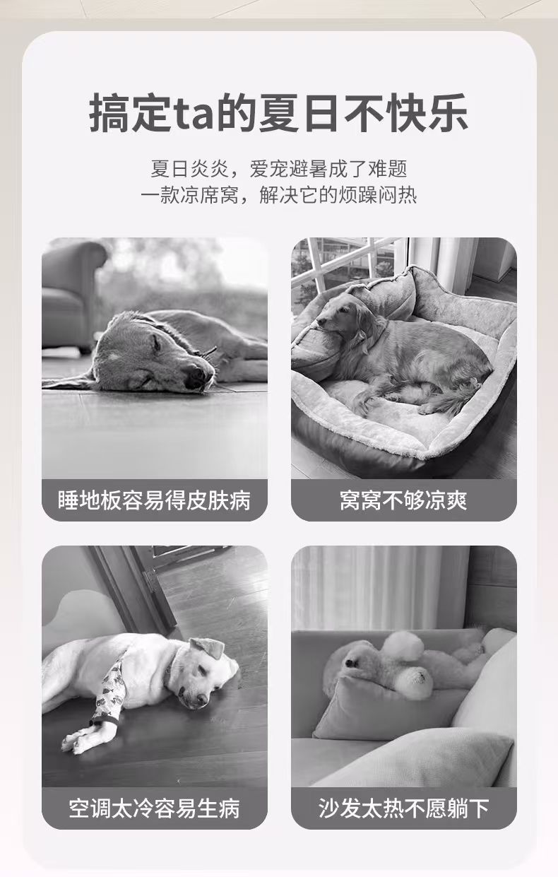 2148563a-a7eb-40fd-a145-2997efea84f4.jpe