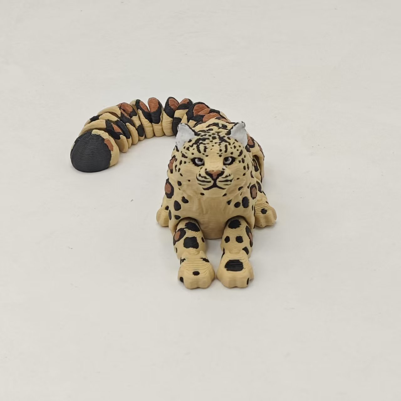 微信图片_20250618001258