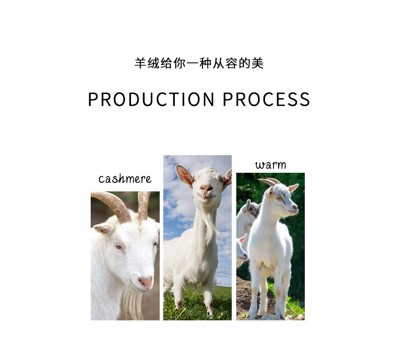 未标题-1-恢复的_05.jpg