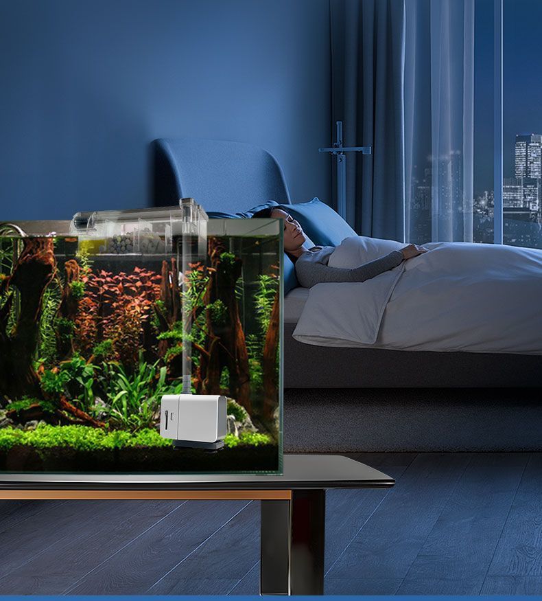 cecac63e-9158-449b-b9ff-68266dd0d447.jpe