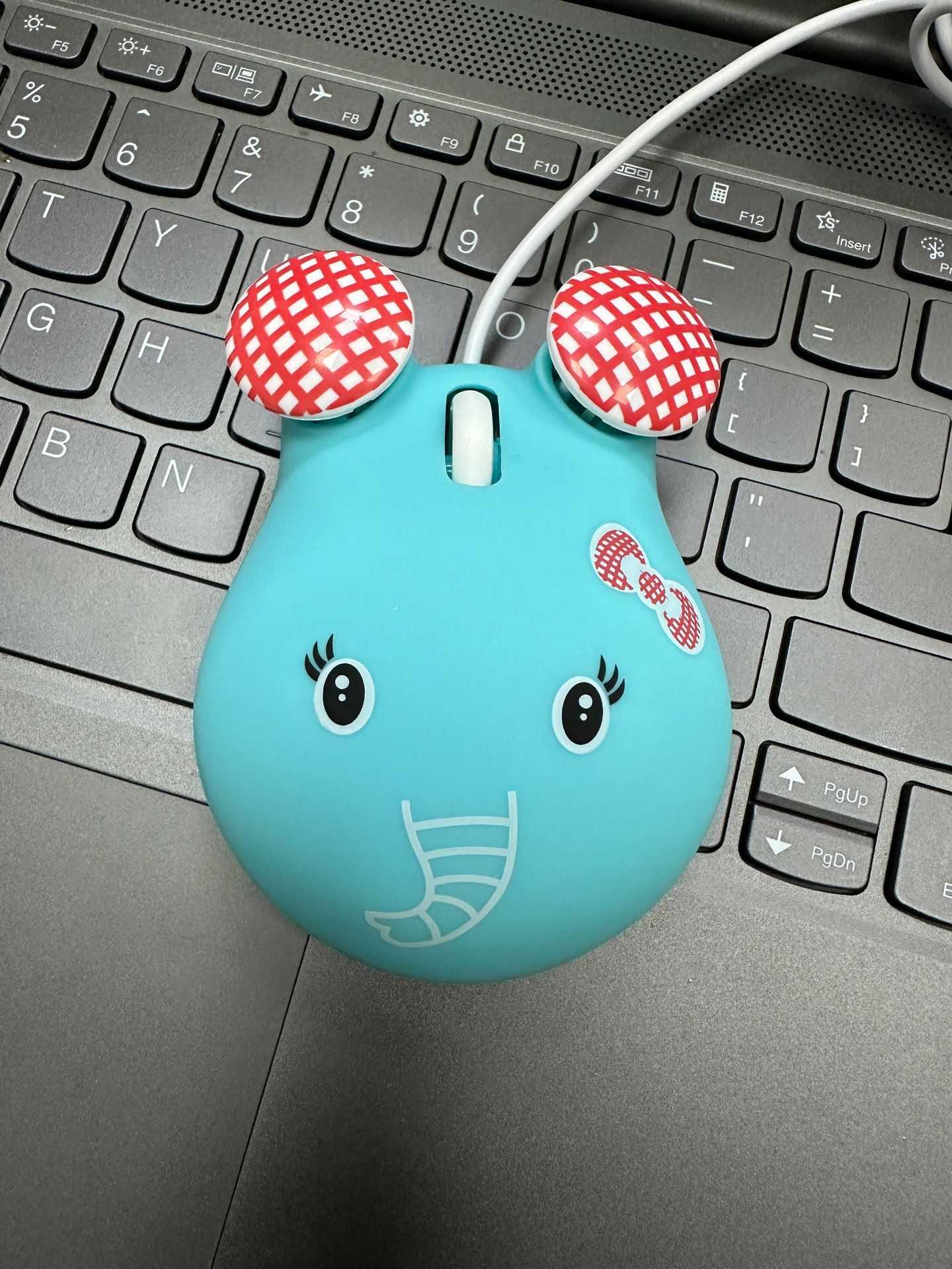 微信图片_20231222104715.jpg?x-oss-process=image/format,png