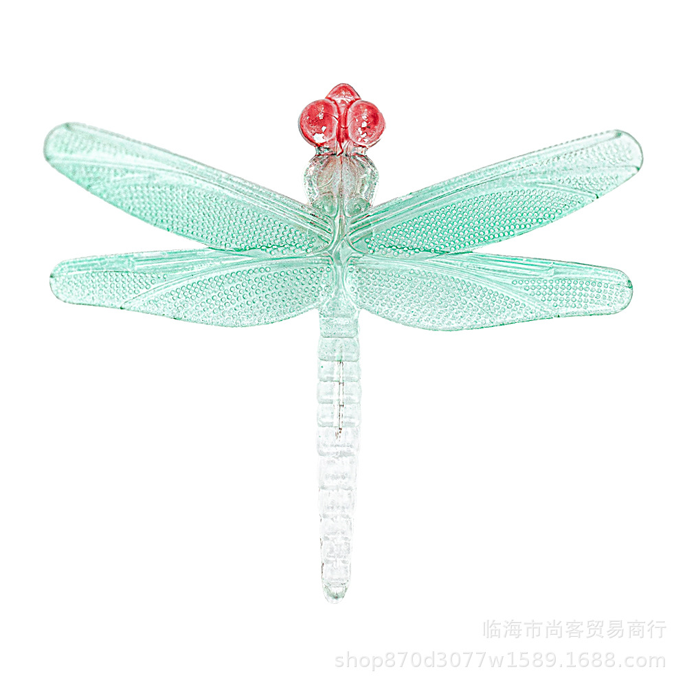 小号蜻蜓7.jpg
