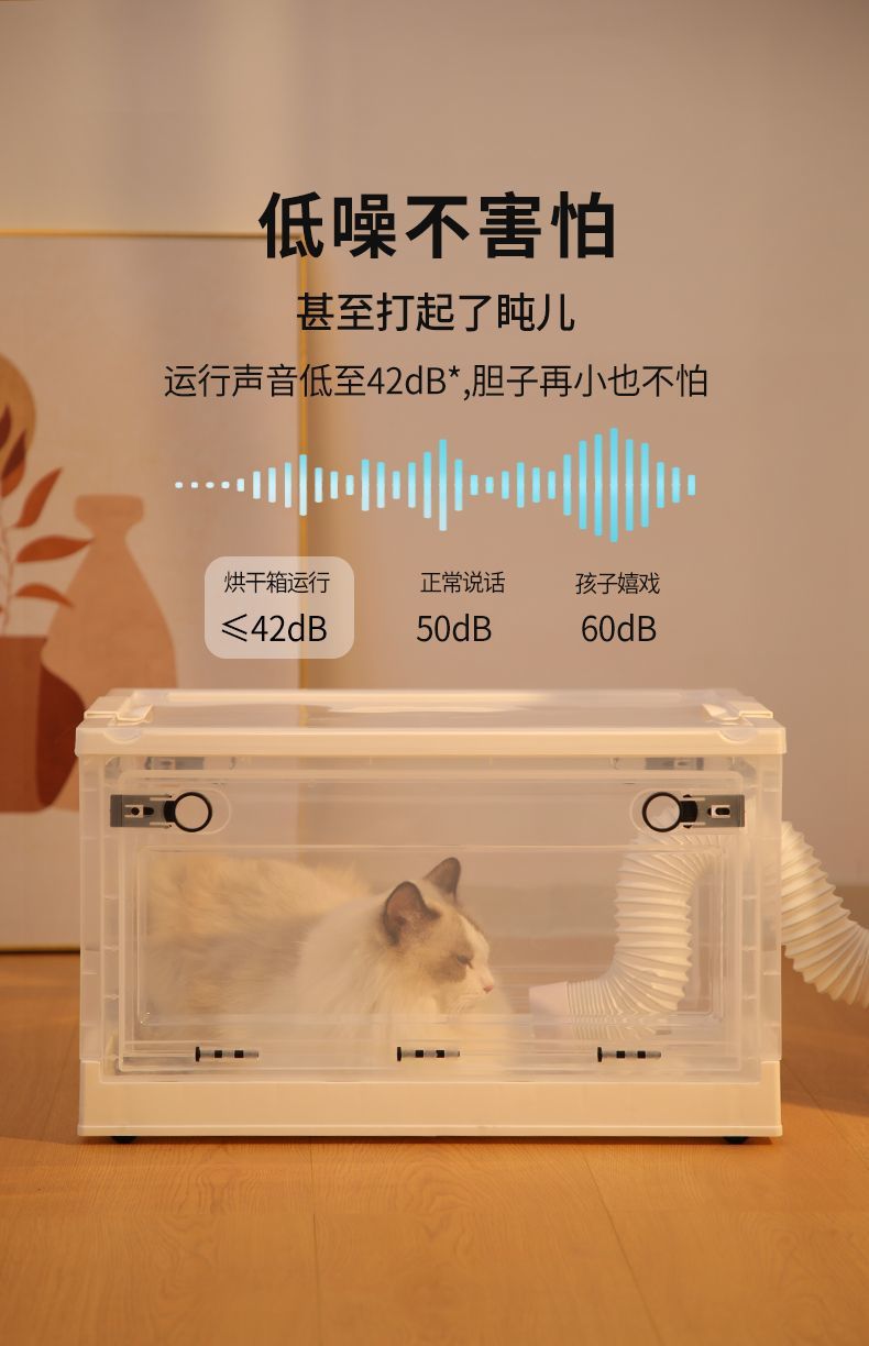 55a74d47-b87e-4437-830d-10c2620e0834.jpe