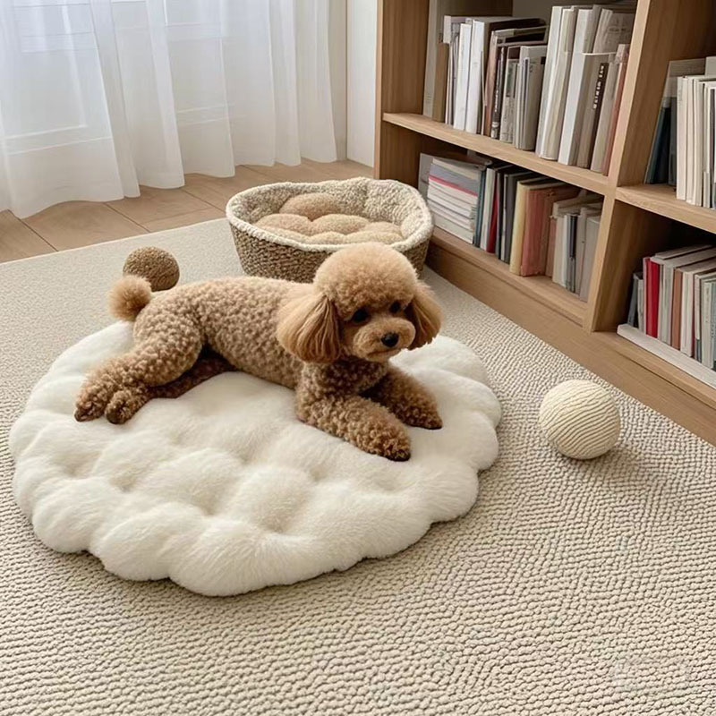 微信图片_20250508212747