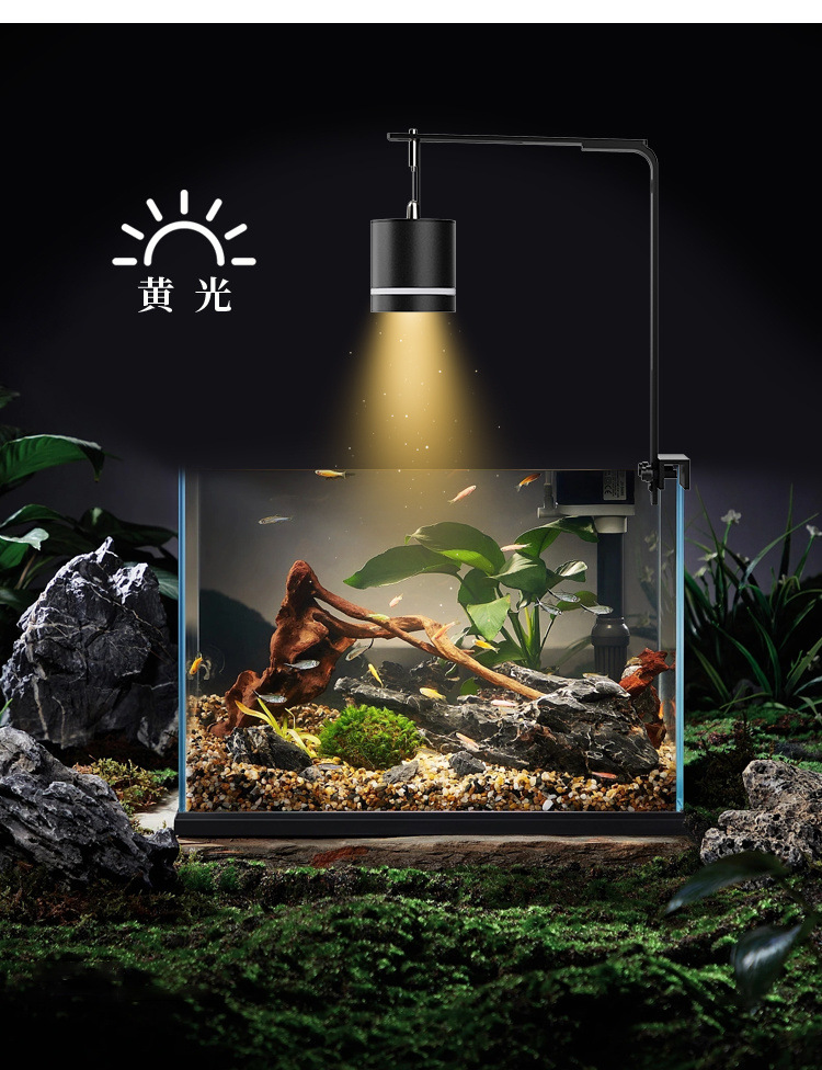 5a60f712-1098-44bd-8ab5-9fd338470c43.jpe