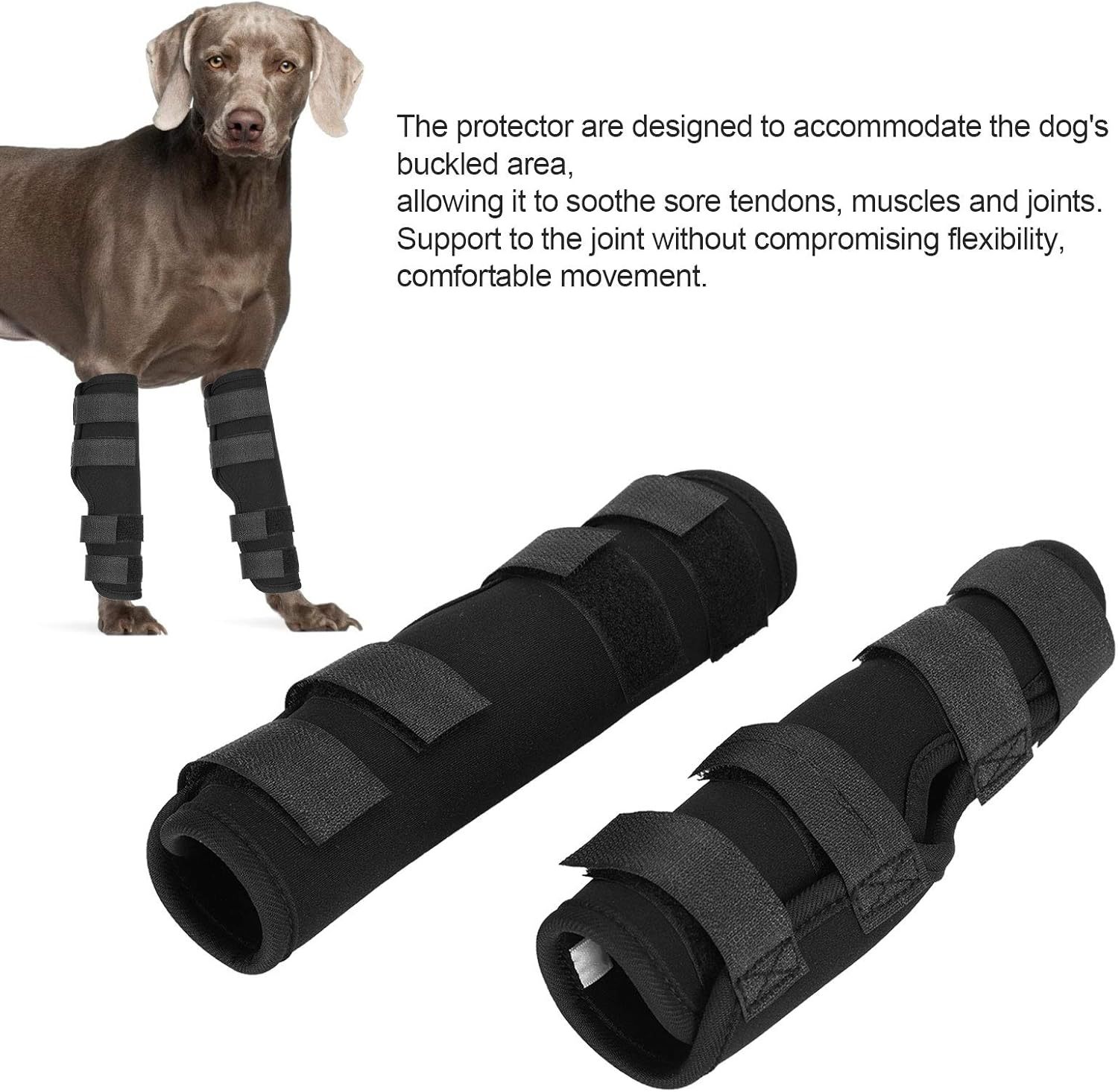 71P6a1Dzf1L._AC_SL1500_