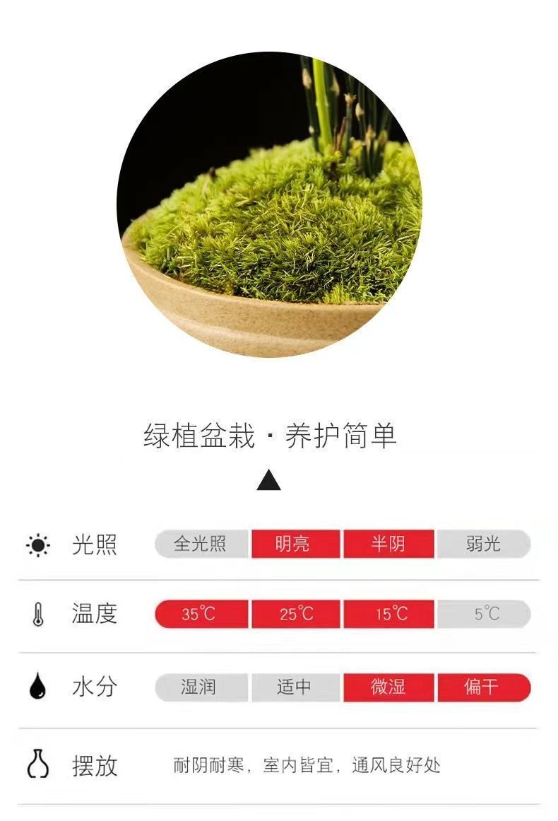 3c349d78-5887-4839-a5c4-cfe0c8cbd18f.jpe