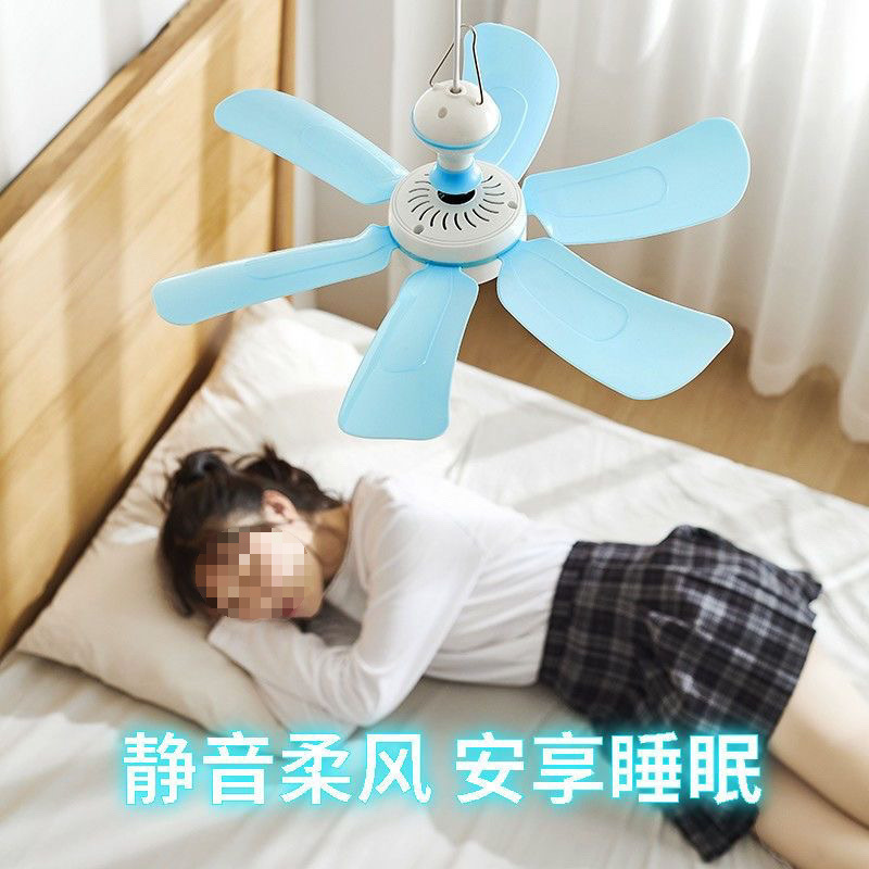 dc955da1-ee5a-4be3-b273-f6458dc7f1f0.jpe