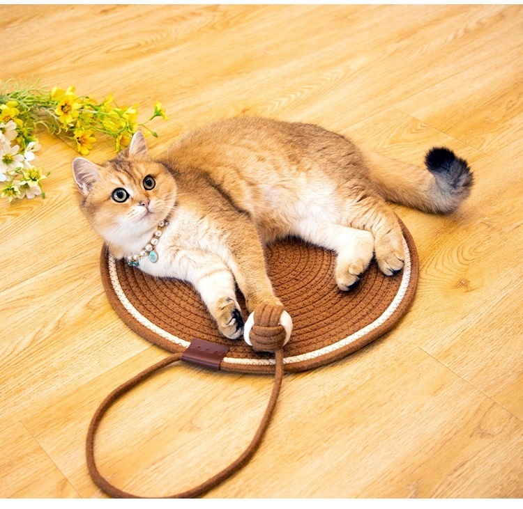 9cab7d34-c8ae-4aa6-be6e-ae691211f3f7.jpe