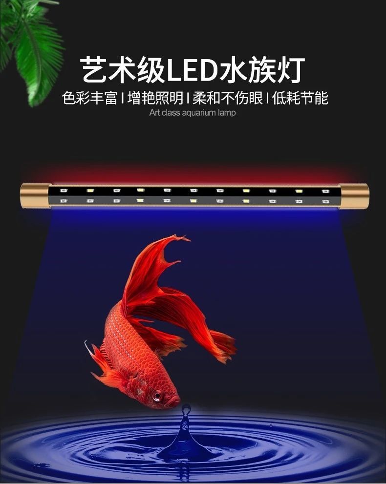 880c8703-a82a-4ea4-a805-28b8eafed3a1.jpe