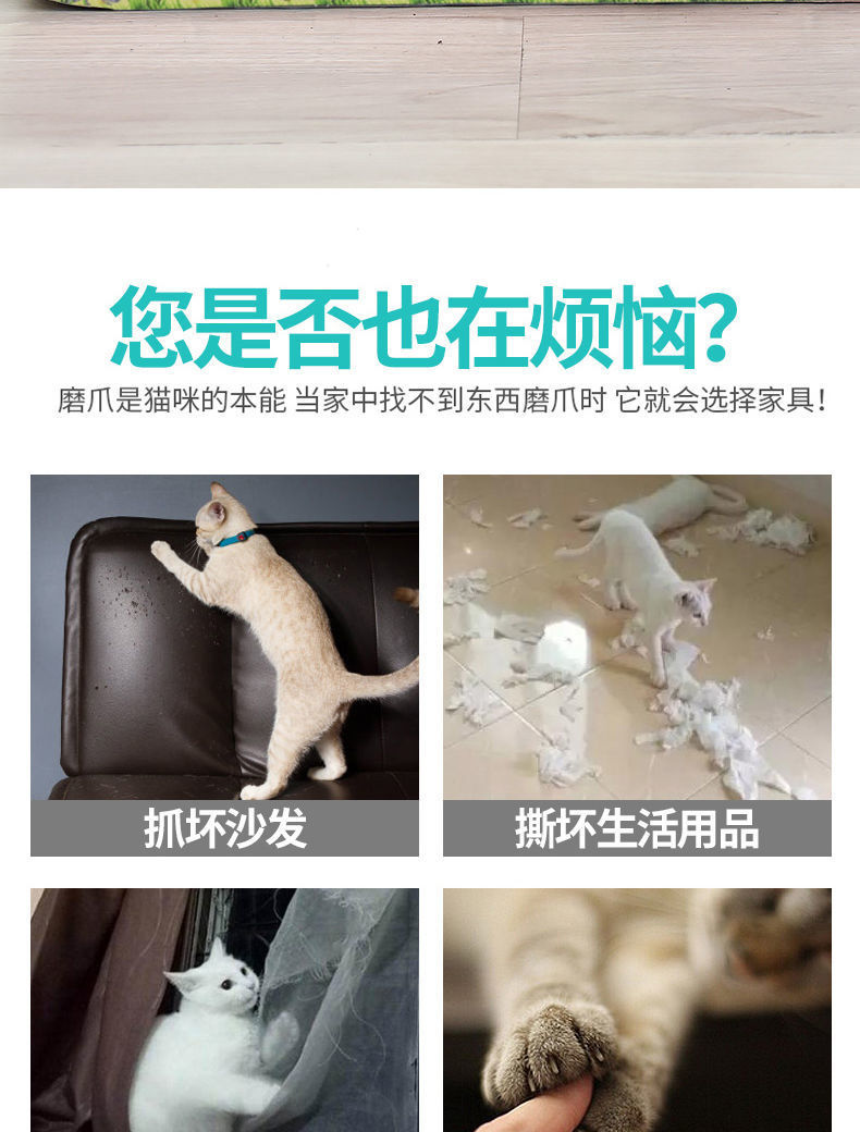 12ba948b-ab52-45d2-979e-53bbe02eac7c.jpe