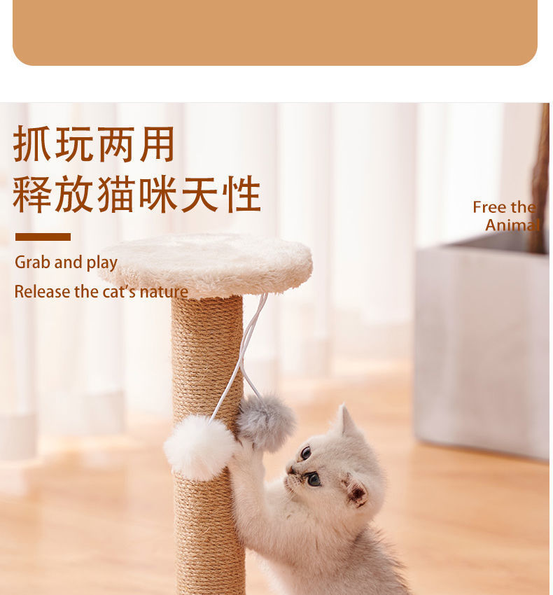 8cecf879-e3b6-4010-b785-bd9aff8ecebd.jpe