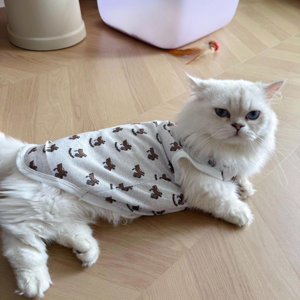 ed2b339c-e52d-42bb-8afa-492699dd9b48.jpe