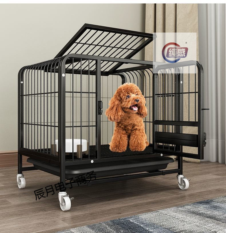 58d3fa11-696e-433a-ac67-51bed8dad268.jpe