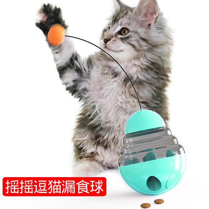 13473955145_1651413037