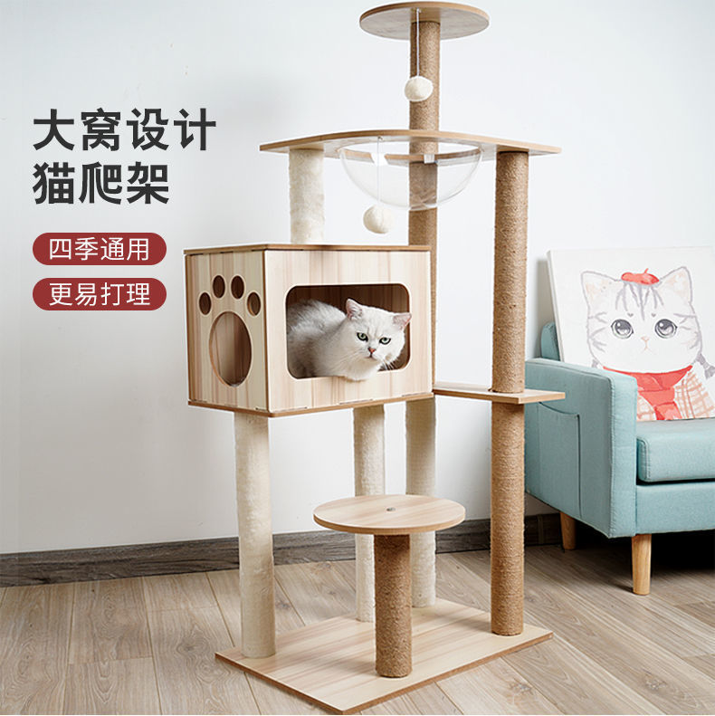 66f8028e-69a4-4cd3-83c9-d7365e6a88fd.jpe