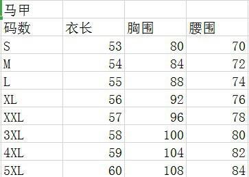 马甲.JPG