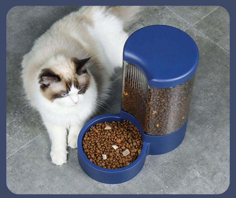 6423d452-5ebb-4bfa-92cb-23ea86ad41a2.jpe