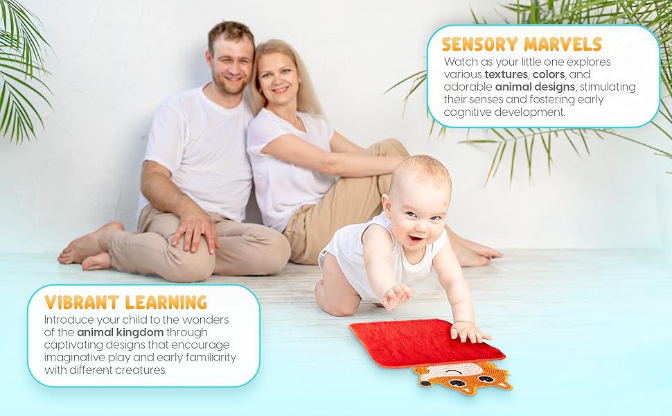 一键上货_20241124112409